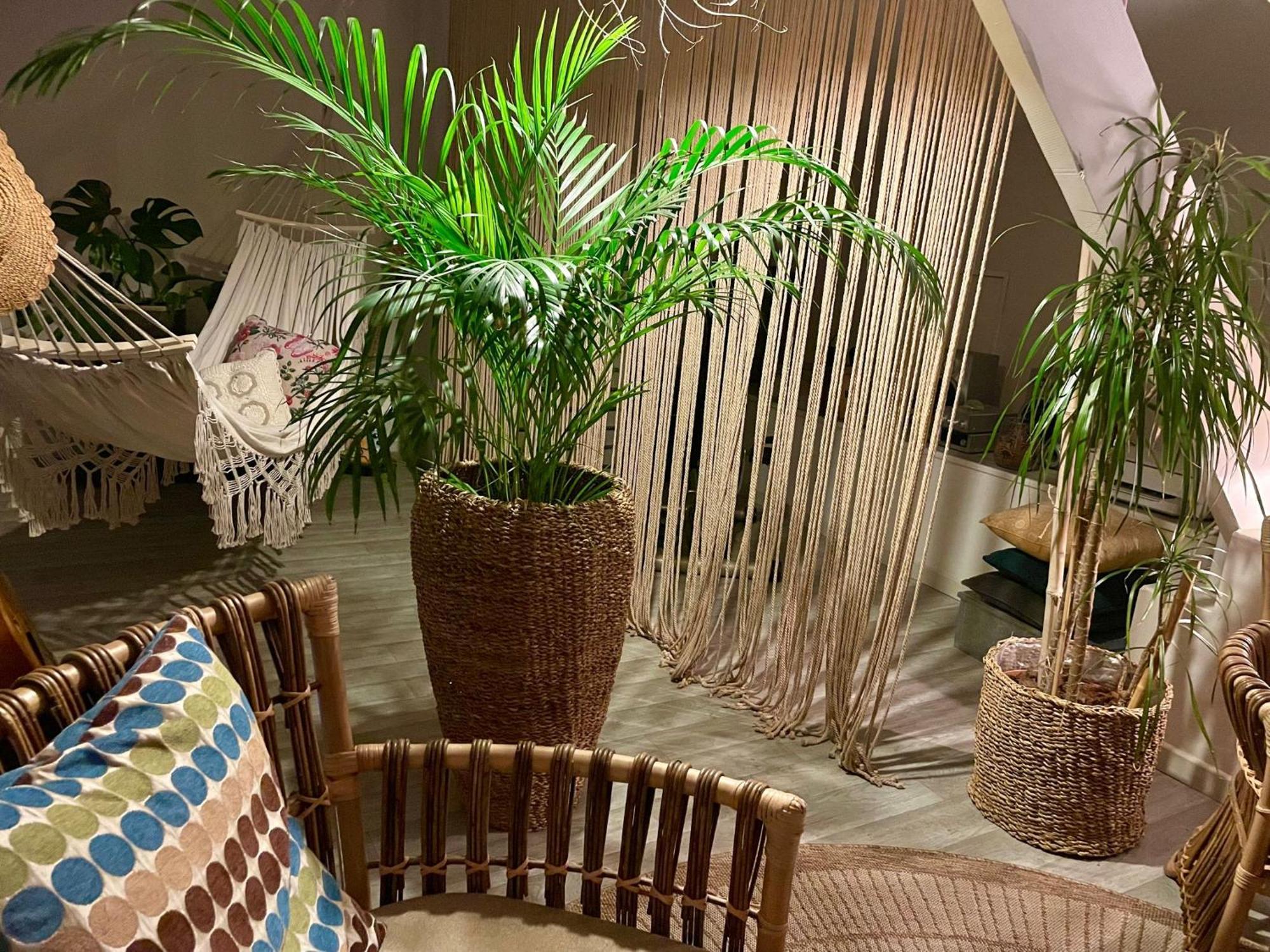 Chambre Boheme Chez Rachel Pau Dış mekan fotoğraf
